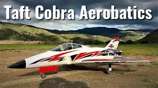 Cobra EDF Jet  Aerobatics