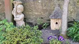 The 2020 bumble bee nest - stolen from great tits in the garden