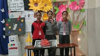 &ldquo;Structure and Function of Human Heart | School Project&rdquo;