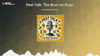 Does Steam Kill Fleas?