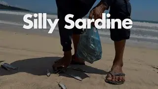 Sardines Failed to Colonise  Land