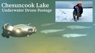 Underwater Drone Footage Chesuncook Lake