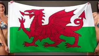 Wales National Flag