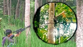 Berburu hama tupai di sepot istimewa