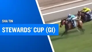 A True Champion! Romantic Warrior Wins the Stewards' Cup