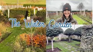 How To Ensure the Garden Looks Good All Year Round