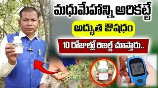 మధుమేహాన్ని అరికట్టే అద్భుత ఔషధం | Control Diabetes | Telugu Health Tips | Ganta Anandam | ManamTV