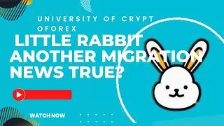 Little Rabbit New Migration True?