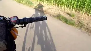 De Kogenheim retour sur Rhinau le Samedi 5 Juillet 2025 Vid&eacute;os By Philippe Stocker @Trialvideos