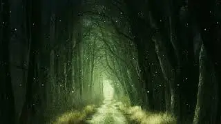 HiFi Ji - Journey