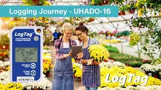 Logging Journey - UHADO-16