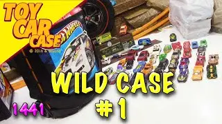 1441 FULL Hot Wheels case 1 Toy Car Case