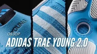 Обзор кроссовок adidas Trae Young 2.0