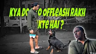 Kya Dog Ko Offleash Rakh Sakte Hai, Offleash Training | Day-129 #dog #rottweiler #vlog