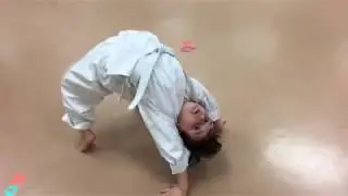 Karate Bridges