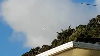 UFO in Wellington New Zealand
