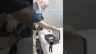 Charlotte Home Inspection Mold Testing