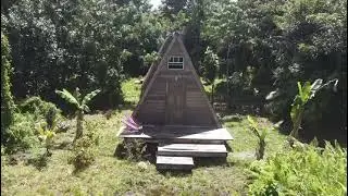 3 Log Cabins & 5 Acres of rainforest land For Sale In Pont Casse Dominica