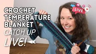 Catch Up on Your Crochet Temperature Blanket with Me!