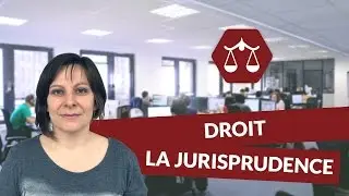 La jurisprudence - Droit - digiSchool
