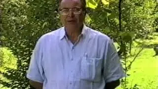 Warwick kerr