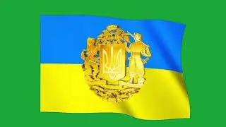 Bandera UCRANIA ondeando pantalla verde 🇺🇦 Escudo de UCRANIA