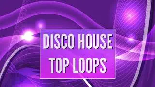 DISCO HOUSE TOP LOOPS   TECHNIQUE SOUNDS