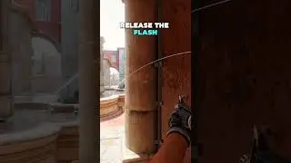 Solo  flash to help yourself on quad