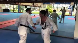 martial arts karate and kyokushin