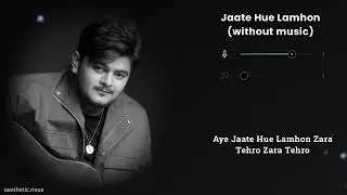 Jaate Hue Lamhon | Without Music (only vocals) | Vishal Mishra | Border 2 | Aesthetic.risux