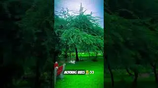 SAIYAARA TU TO🥰 #song #coversong #jubinnautiyal #arijitsingh #bollywood #shortvideo #junglesafari