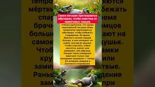 Самки лягушек притворяются мёртвыми,чтобы спастись от навязчивых самцов #хочуфакты #интересное #frog