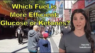 Какое топливо эффективнее: глюкоза или кетоны?