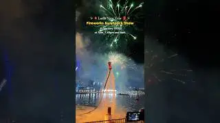 Fireworks and Lion Dance Jetpack in Sydney #sydney #lunarnewyear #fireworks #jetpacks #cny