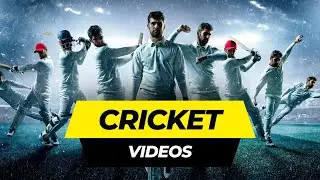 Best Stock Footages for Playing Cricket | 4K Videos | Copyright Free | Creator Mitra