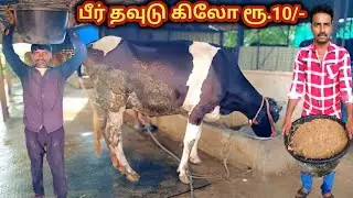 Cow milk increaae Beer Waste Wholesale Business ideas in Tamil | Cows drinking beer|Meendum Siva
