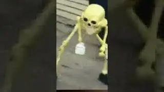скелет🤣🤣😂😂