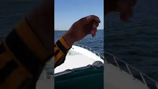 تدريب الميناء فيديو لطلاب معهد اللاتصالات اللاسلكي
