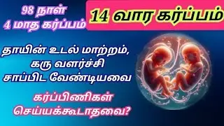 14 weeks of pregnancy in tamil|14 week pregnancy symptoms in tamil| 14 weeks baby development