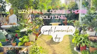 Slow  Day | Flower Care, Homemade Fertilizer & Kitchen Reset\Tips And Trics For Better Home&Garden