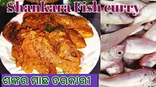 Sankar Fish curry recipe in odia/Red snapper Fish Recipe/#SeaFish #sankarfishcurry #fishcurry