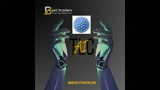 Best2Traders | TCL Trading.ai