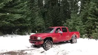 Dodge Dakota in snow