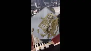 600 die cutting machine