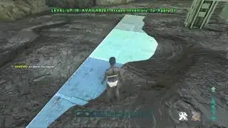 Ark (Foundation Support!!) need to know