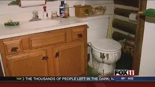 Storm damage in Door County