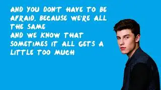 A Little Too Much - Shawn Mendes (Lyrics)