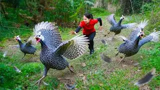 365 Days Harvesting 1000+ Rare Guinea Fowl | Extreme Solo Wilderness Survival Challenge