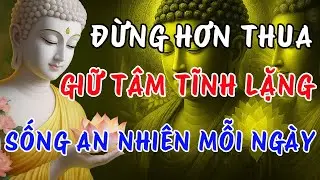 Đừng Hơn Thua Nữa – Phật Dạy Cách Giữ Tâm Tĩnh Lặng, Sống An Nhiên Mỗi Ngày | Đạo Phật Trong Ta