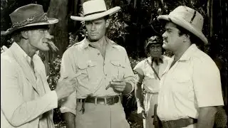 Arnold Leibovit on THE NAKED JUNGLE